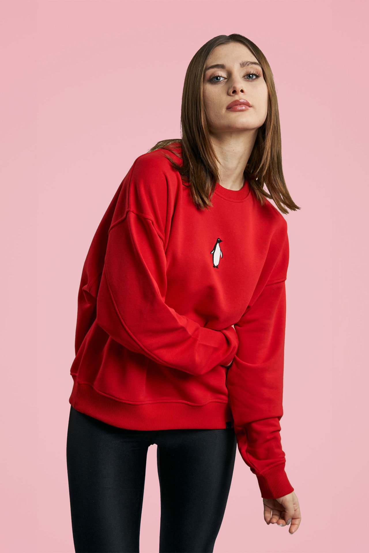 Penguen Nakışlı Casual Sweatshirt