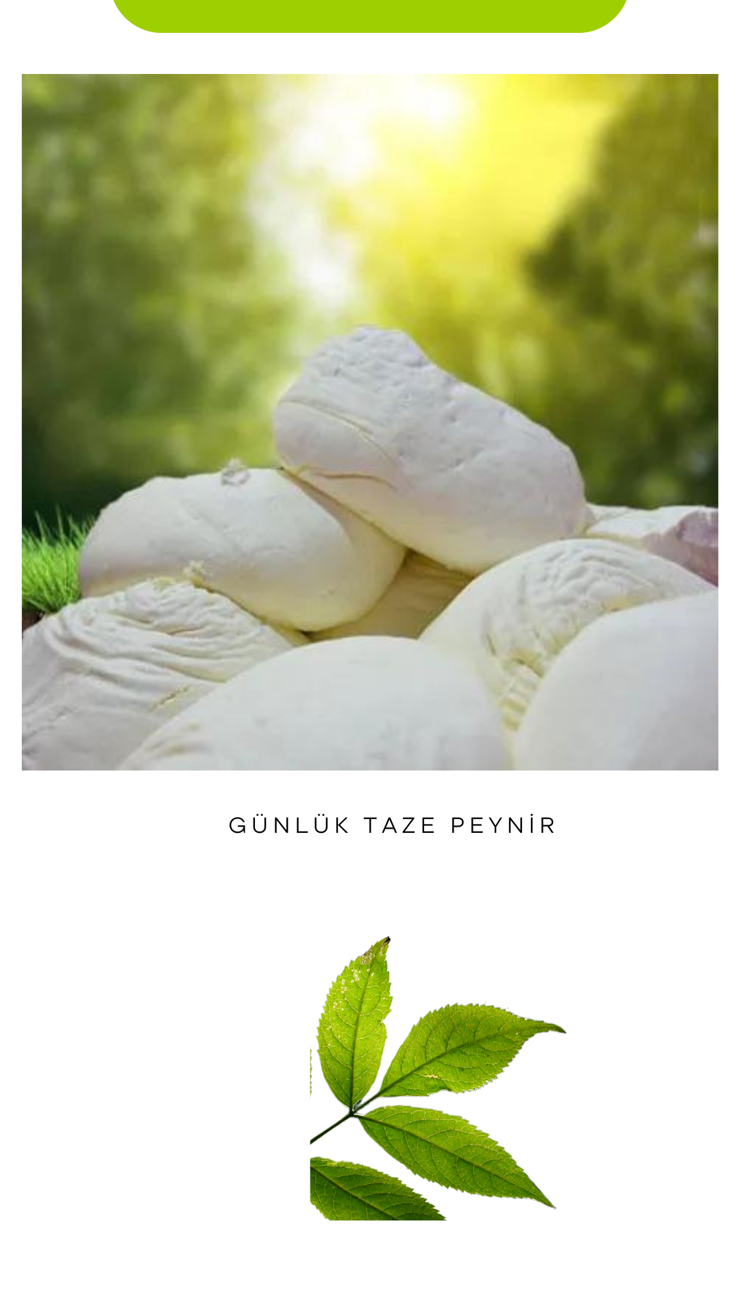 GÜNLÜK TAZE PEYNİR