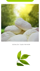 GÜNLÜK TAZE PEYNİR