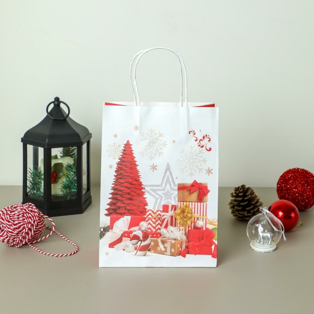 Sarkap Home 3'lü 19x26 Desenli Kraft Kağıdı Poşet Çanta Kırmızı