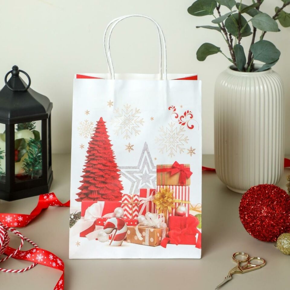 Sarkap Home 3'lü 19x26 Desenli Kraft Kağıdı Poşet Çanta Kırmızı