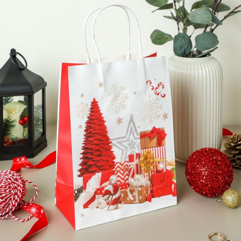 Sarkap Home 3'lü 19x26 Desenli Kraft Kağıdı Poşet Çanta Kırmızı