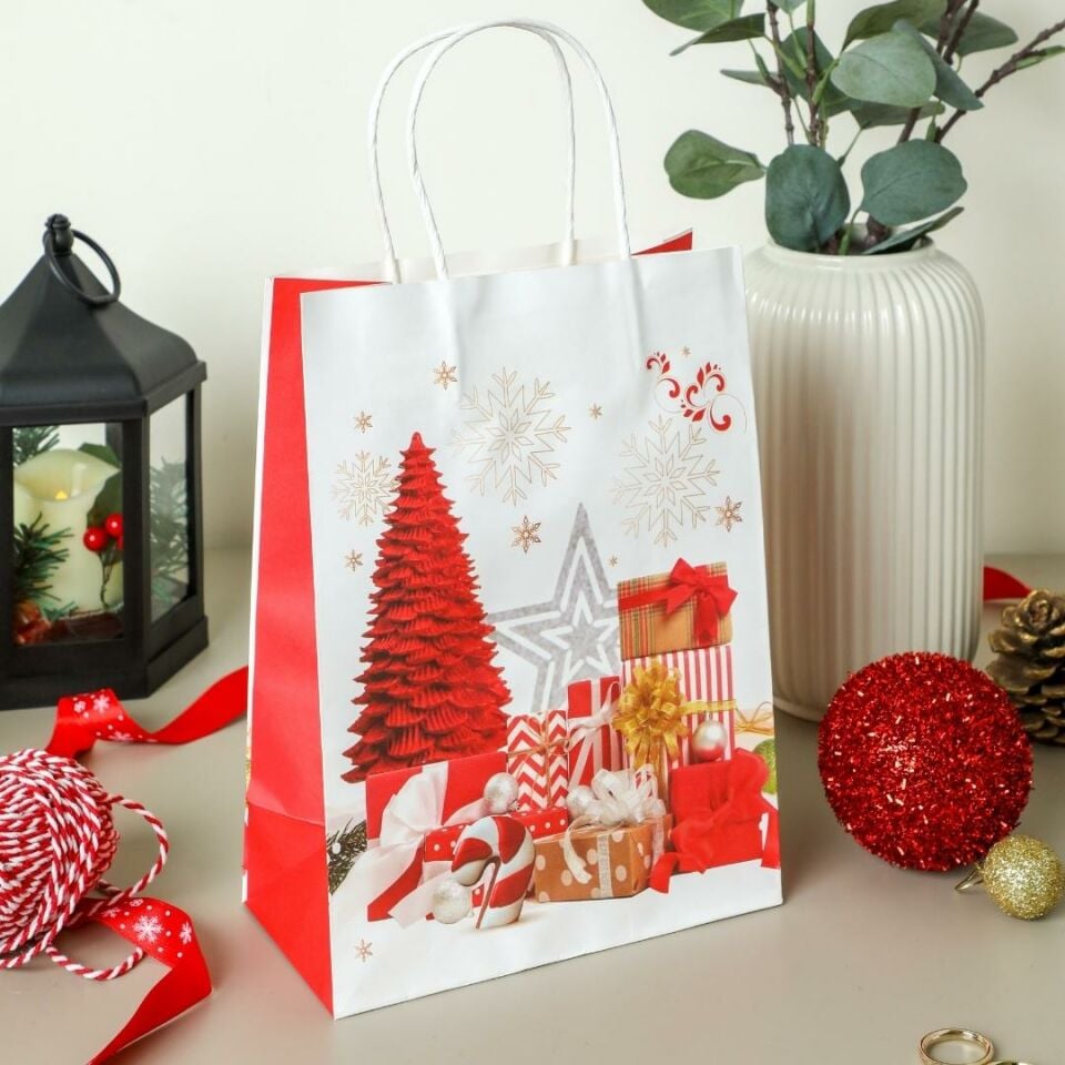 Sarkap Home 3'lü 26x33 Desenli Kraft Kağıt Poşet Çanta Kırmızı