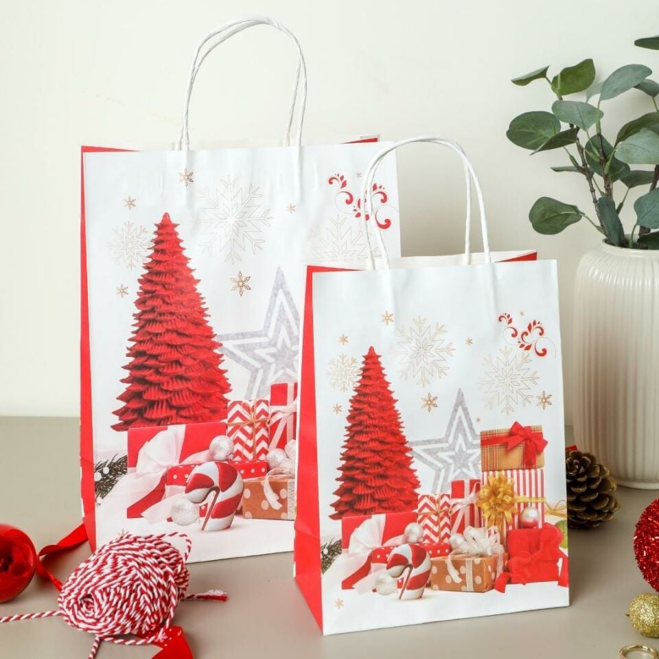 Sarkap Home 3'lü 26x33 Desenli Kraft Kağıt Poşet Çanta Kırmızı