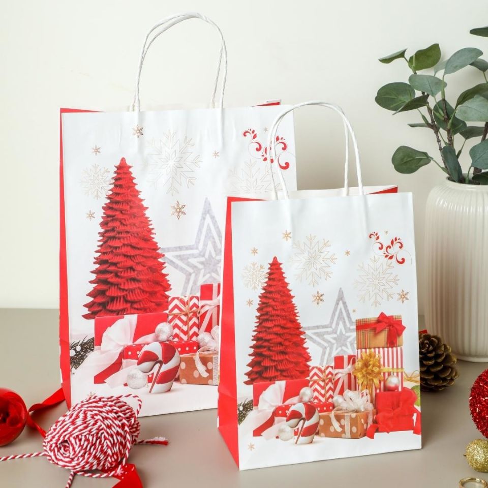 Sarkap Home 3'lü 26x33 Desenli Kraft Kağıt Poşet Çanta Kırmızı