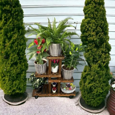 Ahşap (Çam) CEVİZ Renk 4 Katlı Bitki Standı, Kilitlenebilir Tekerlekler + Mini Bahçe Seti