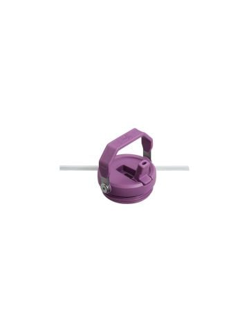 Stanley The IceFlow Flip Straw Pipetli Termos Bardak 0,89 LT Lila (OUTLET)