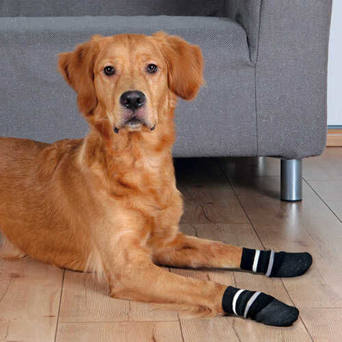 Trixie Köpek Çorabı  Kaymaz Xs-S  2 Adet
