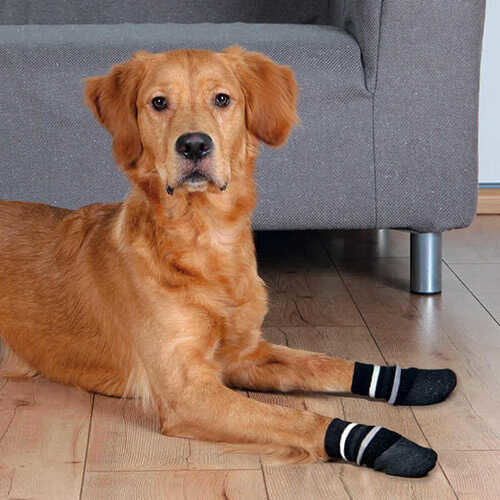 Trixie Köpek Çorabı  Kaymaz L–Xl  2 Adet