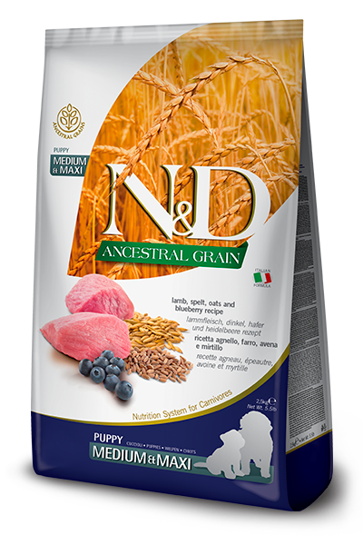 N&D Ancestral Grain Kuzu, Balkabaklı Adult Mini Kuru Köpek Maması 2,5 kg