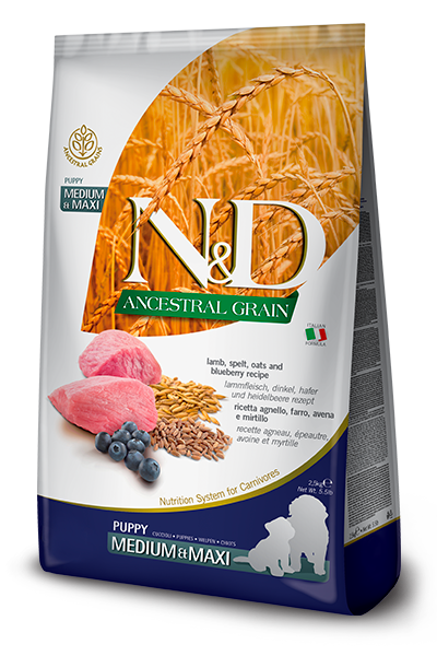 N&D Ancestral Grain Kuzu, Balkabaklı Adult Mini Kuru Köpek Maması 2,5 kg