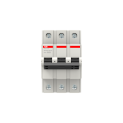 2CDS653061R0165  -  BMS613B16 Miniature Circuit Breaker      15-20 gün təslim