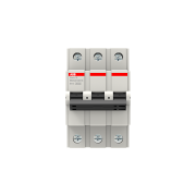 2CDS633031R0165  -  BMS313B16 Miniature Circuit Breaker      15-20 gün təslim