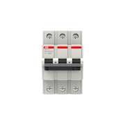 2CDS633031R0064  -  BMS313C06 Miniature Circuit Breaker      15-20 gün təslim