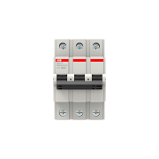 2CDS633031R0104  -  BMS313C10 Miniature Circuit Breaker      15-20 gün təslim