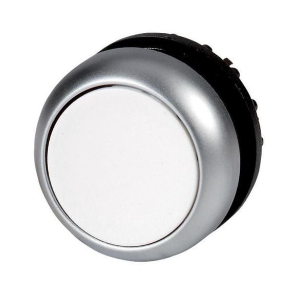 216592  -  M22-D-W - Pushbutton, RMQ-Titan, Flat, momentary, White, Blank, Bezel: titanium      15-20 gün təslim