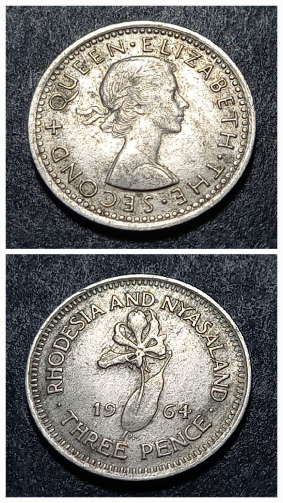 Escoines Koleksiyon 1964 Rodezya And Njasaland 3Pence ÇİL yabancı madeni para - 3996366a5a2aceb84a