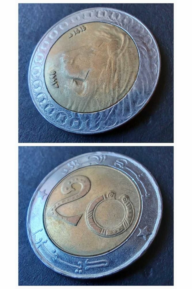 1996 cezayir 20 dinar ççt+ eski yabancı madeni para