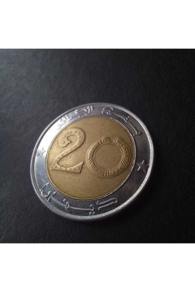 1996 cezayir 20 dinar ççt/ça+ eski yabancı madeni para