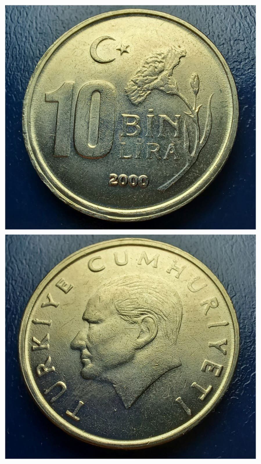 10.000 Lira (2000) ÇİL Eski Madeni Para - 3996366428b3632c05