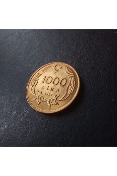 1000 lira (1995) ça/çil Eski madeni para