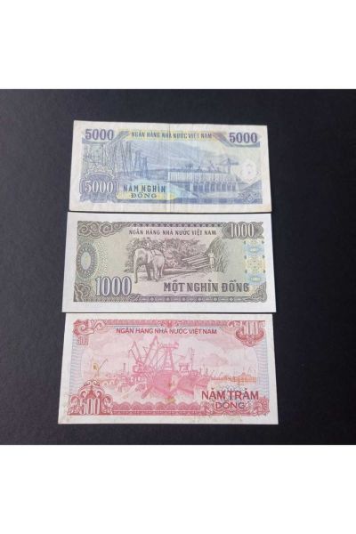 1988 - 1991 Vietnam 500 - 1000 - 5000 Dong Eski Yabancı Kağıt Para Set