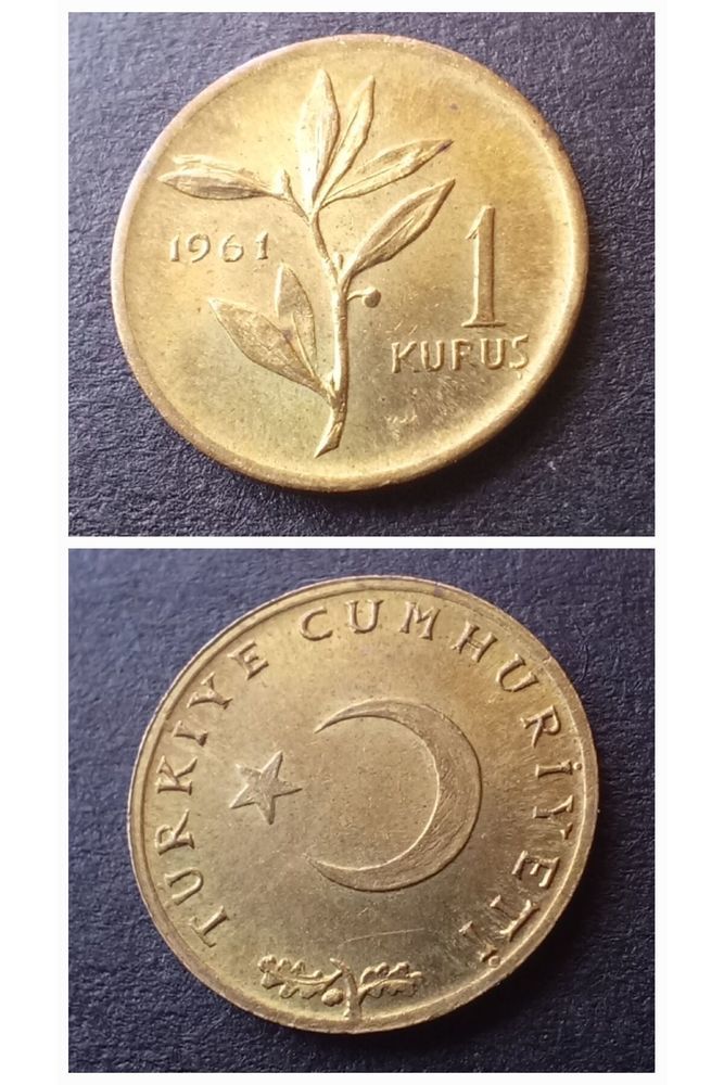 1 Kuruş (1961) Eski Madeni Para