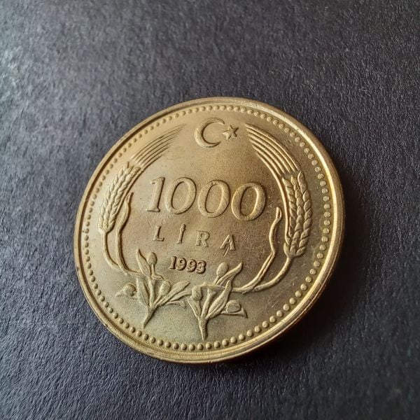 1000 Lira 1993 ÇİL eski madeni para - 399636668aafe3fc51