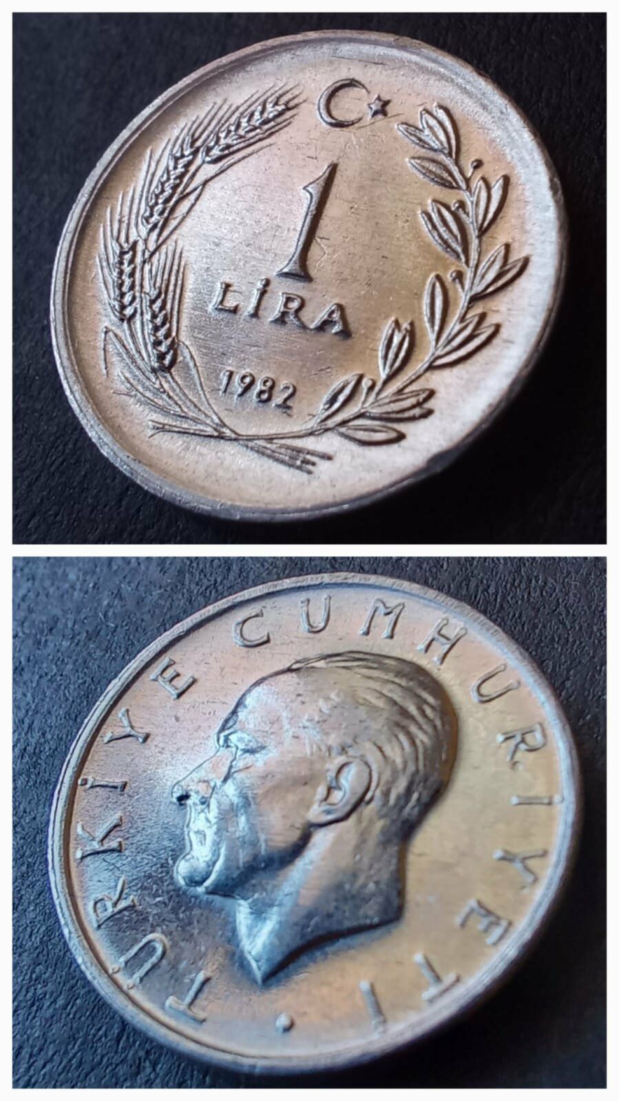 1982 1 Lira ÇİL eski madeni para - 3996366645578b78a8