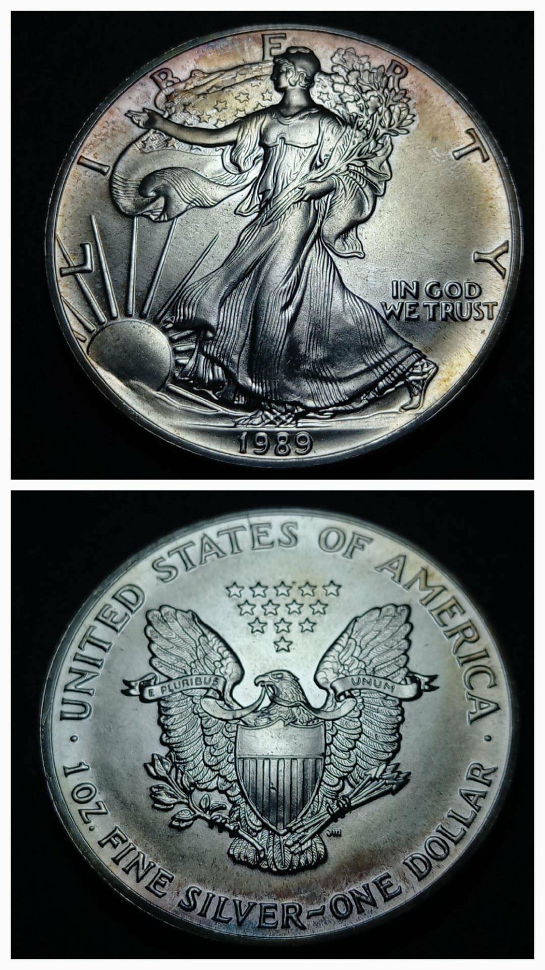 Escoines Koleksiyon 1989 Abd 1 Dolar 31,25 Gram Gümüş Amerikan Silver Eagle 0.999 Ayar Gümüş -  3996366ee130201074