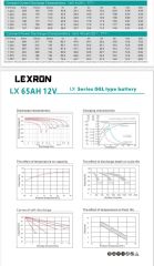 LEXRON 12 V 65 Ah Jel Akü