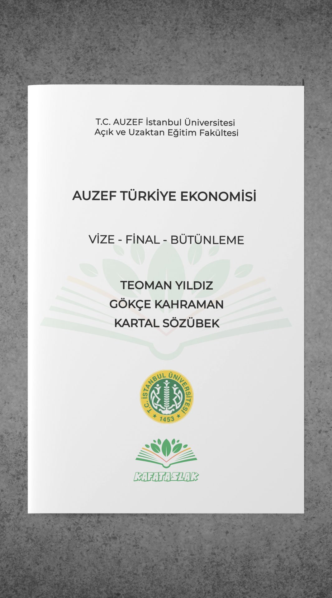 Türkiye Ekonomisi AUZEF İstanbul Üniversitesi Nokta Atışı Sorular Kafataslak Yayınları