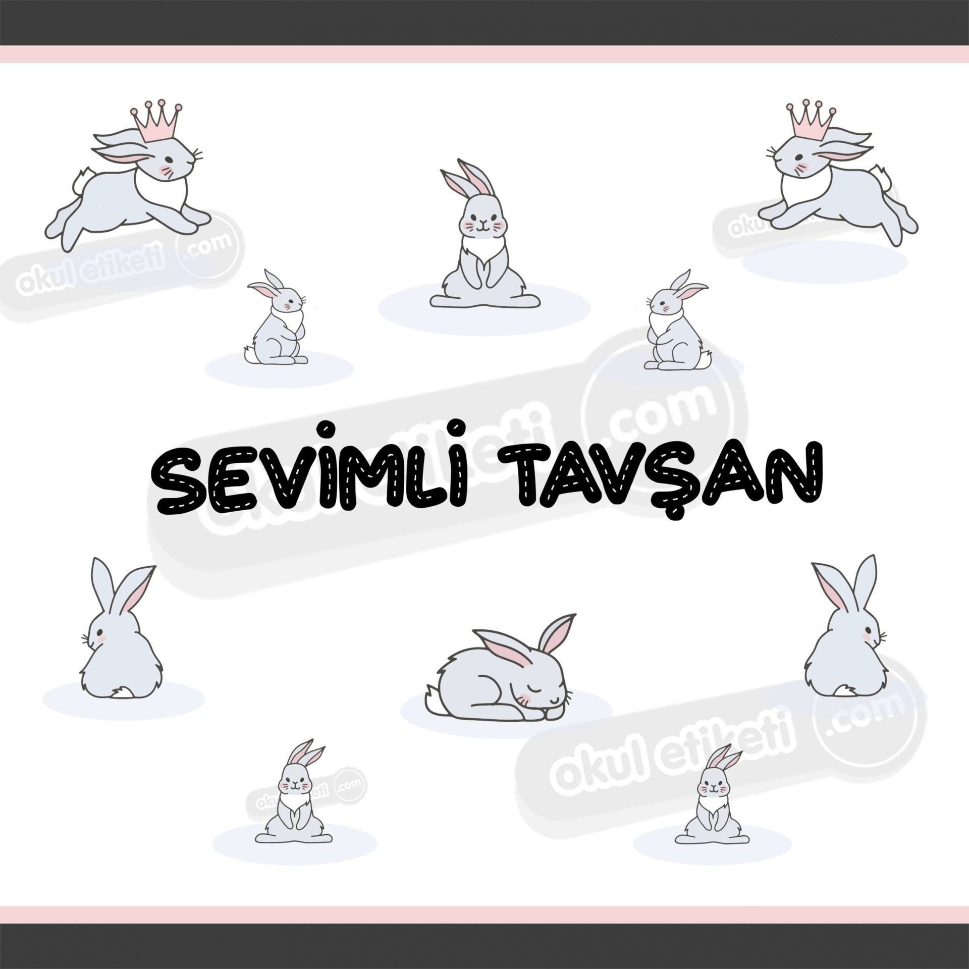 MEGA SEVİMLİ TAVŞAN