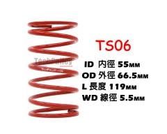 SYM GTS 250 / JOYMAX 250 YÜKSEK PERFORMANSLI TORK YAYI