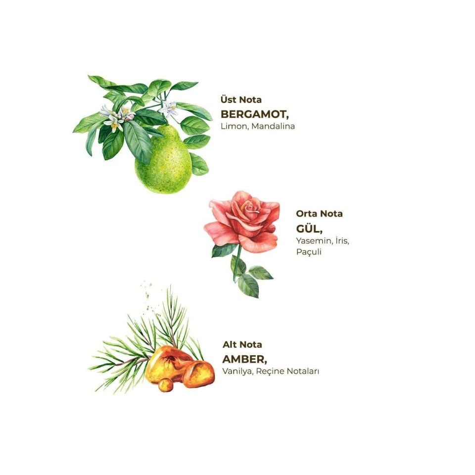 Amber Kolonyası 400 ml Pet Şişe