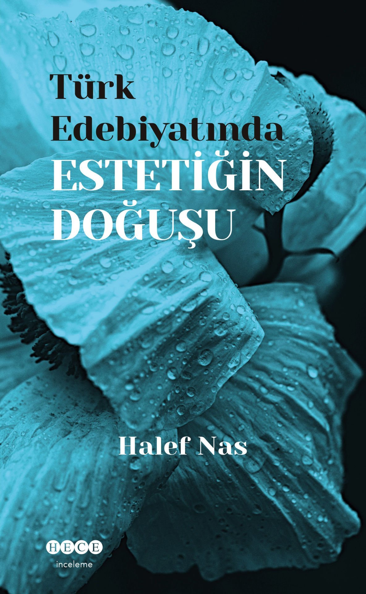 Türk Edebiyatında Estetiğin Doğuşu