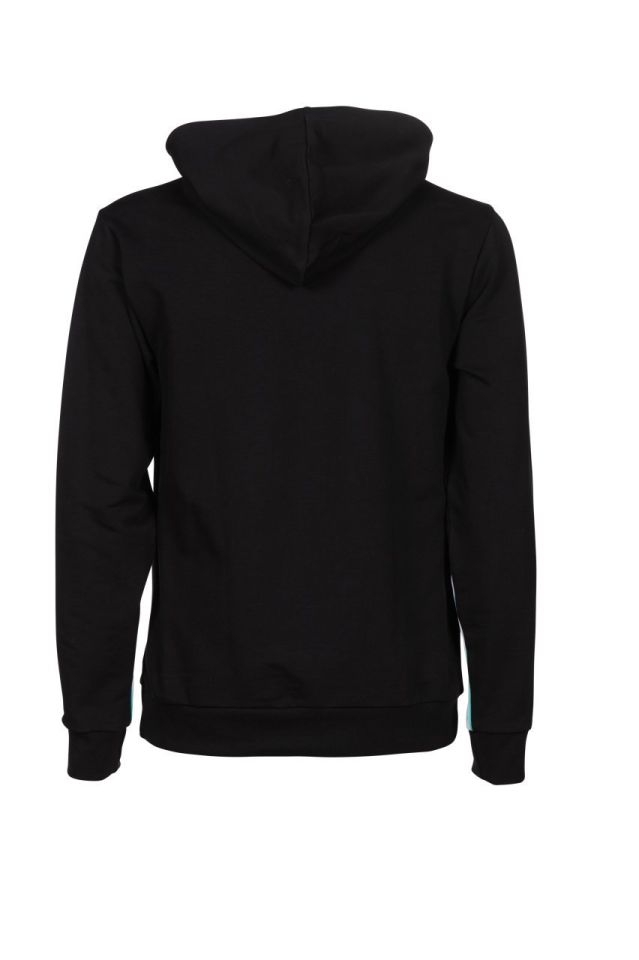 ARENA  ICONS HOODED SWEATSHİRT