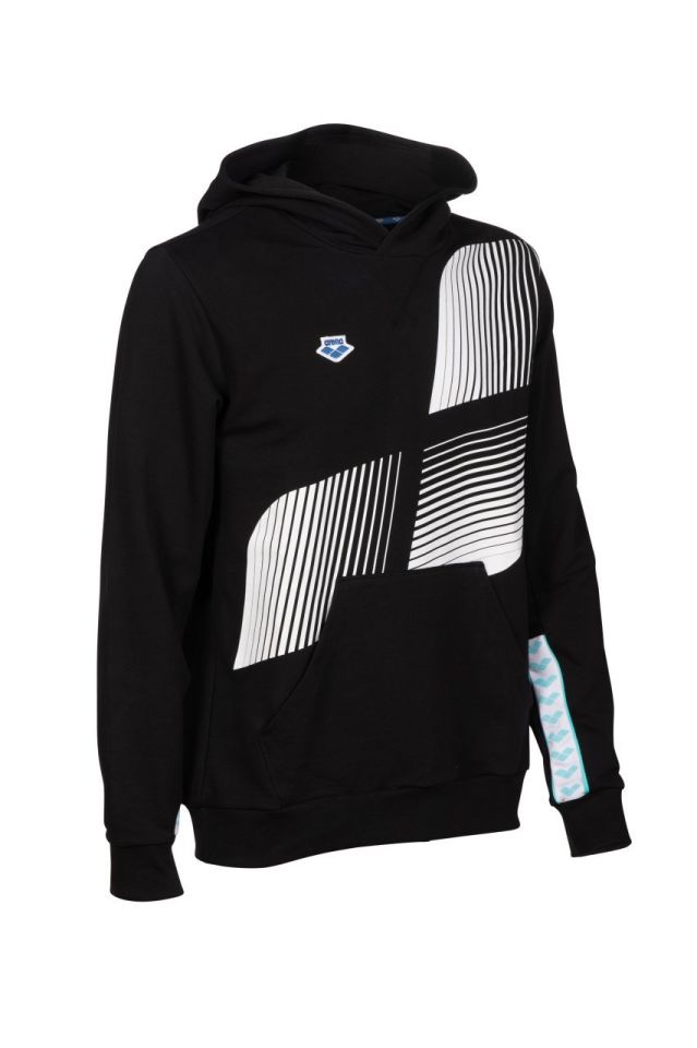 ARENA  ICONS HOODED SWEATSHİRT