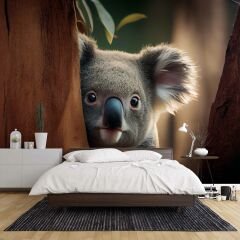 Koala Temalı Duvar Kağıdı