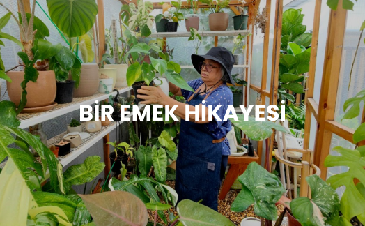 Adana’da başlayan emek hikayemiz muz bahçelerimizden topraktan sofraya ilkesiyle Freeze dry teknolojini kullanmaktan gurur duyuyoruz. Ürünlerimizdeki her detay, titizlikle çalışarak emeğimizi yansıtmaktadır. Kalite ve özenle üretilen ürünlerimizi keşfetmek için hemen sitemizi ziyaret edin.