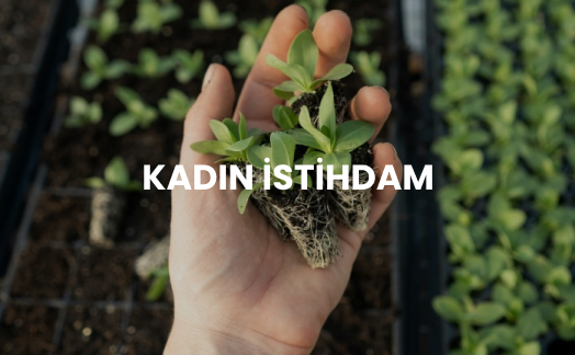 Kadın istihdamı, ekonomik kalkınmanın temel taşlarından biridir. Kadınların iş gücüne katılımı, hem bireysel hem de toplumsal düzeyde olumlu etkiler yaratmaktadır. Kadınların istihdam edilmesi, aile gelirini arttırırken aynı zamanda ekonomik büyümeye de katkı sağlar.