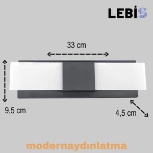 Lebis Antrasit Renk Kartal Led Aplik Günışığı