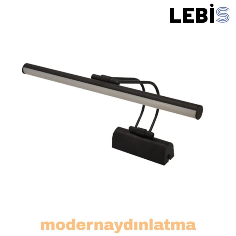 Lebis Siyah Renk Kuğu Led Tablo Aplik Günışığı