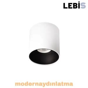Lebis Beyaz-Siyah Renk Gu10 Duylu Yuvarlak Tavan Armatür