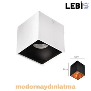 Lebis Beyaz-Siyah Renk Gu10 Duylu Kare Tavan Armatür