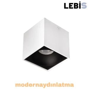 Lebis Beyaz-Siyah Renk Gu10 Duylu Kare Tavan Armatür