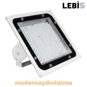 Lebis 100W Yüksek Tavan Aydınlatma Armatürü