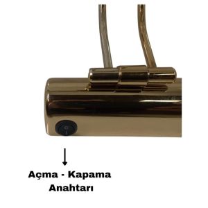 Lebis Pilli Ayna Üstü Flüt Aplik Tablo Aydınlatma 35 Cm Gold Kasa - Günışığı Işık