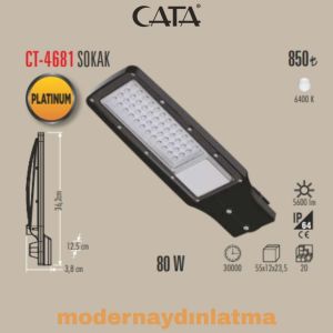 Cata CT-4681 70W Elektrikli Sokak Armatürü