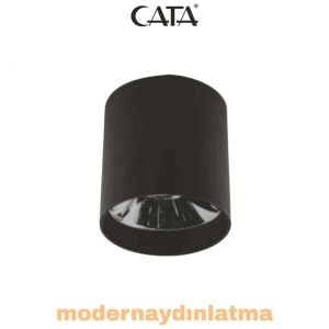 Cata CT-5421 Foça Siyah-Platin  Gu10 Duylu Sıva Üstü Armatür